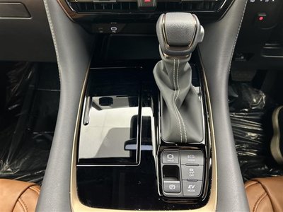 2025 TOYOTA ALPHARD 缩略图 29