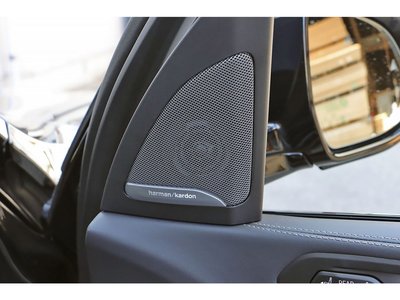 صورة مصغرة 55 لـ 2024 BMW X7