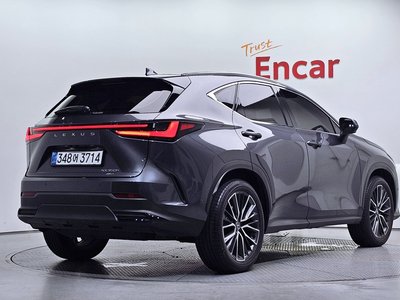 2025 Lexus NX 照片 4