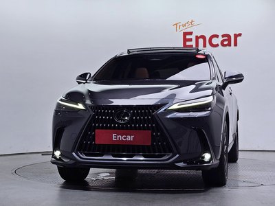 2025 Lexus NX 照片 2