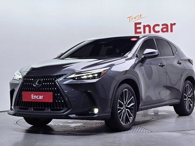 2025 Lexus NX 照片 1