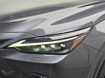 2025 Lexus NX 照片 9