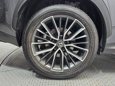 2025 Lexus NX 照片 6