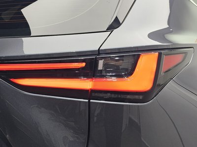 2025 Lexus NX 照片 10