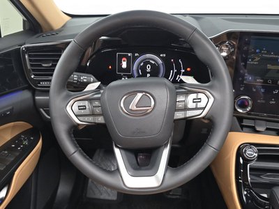 2025 Lexus NX 缩略图 18
