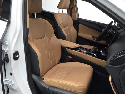 2025 Lexus NX 缩略图 16