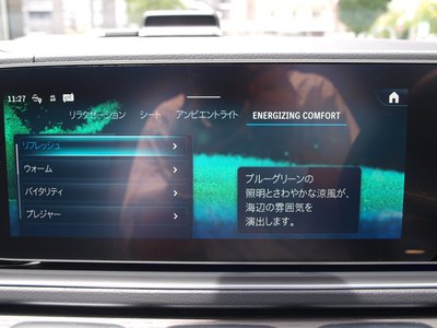 2025 Mercedes-BENZ GLS 缩略图 48