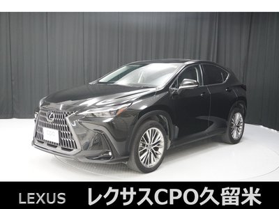 LEXUS NX - 1