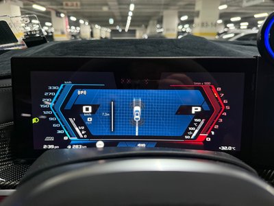 2024 BMW X6 M 照片 8