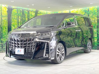 2023 Toyota ALPHARD — миниатюра 32
