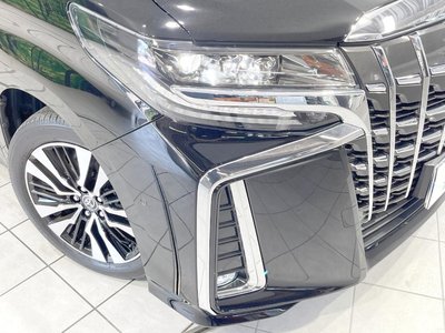 2023 Toyota ALPHARD — миниатюра 13
