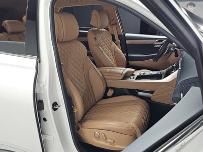 GENESIS GV80 - 10