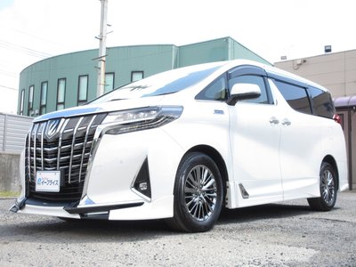 2018 Toyota ALPHARD — миниатюра 18