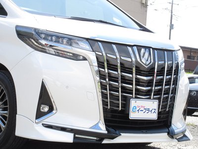 2018 Toyota ALPHARD — миниатюра 30
