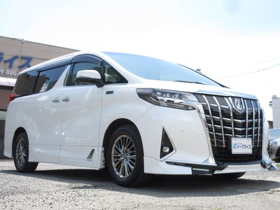 2018 Toyota ALPHARD — миниатюра 19