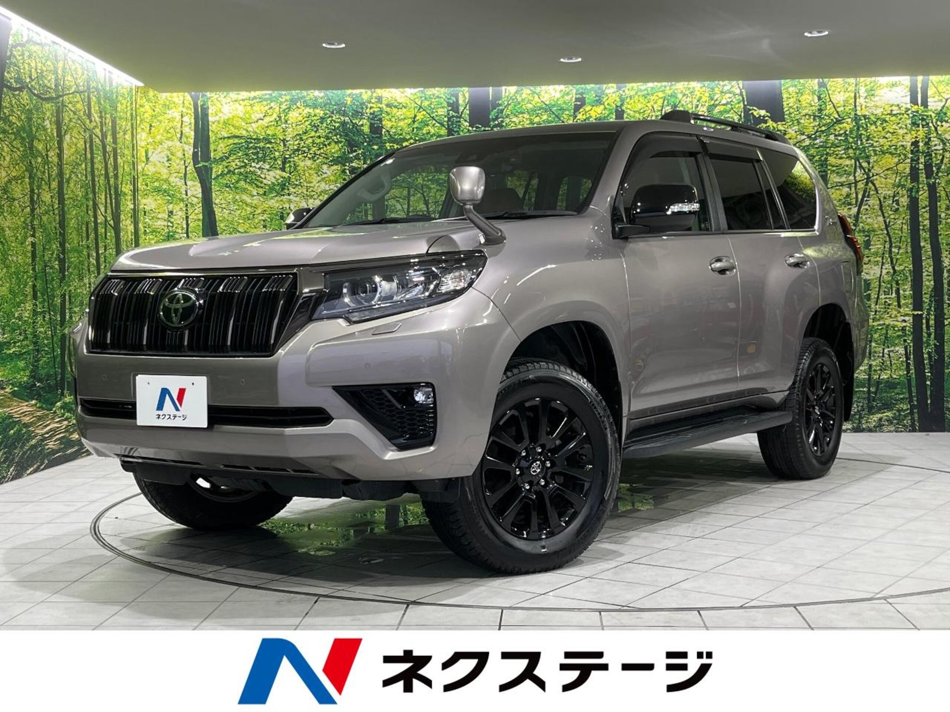 TOYOTA LAND CRUISER PRADO - View 1