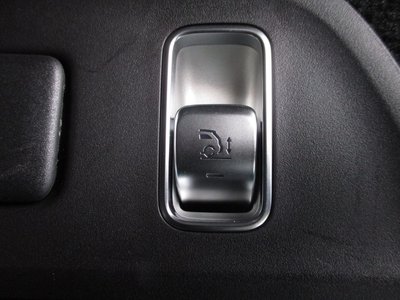 2024 Mercedes-BENZ GLS MAYBACH 照片 10