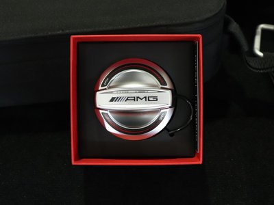 2025 Mercedes-BENZ GT AMG — миниатюра 25