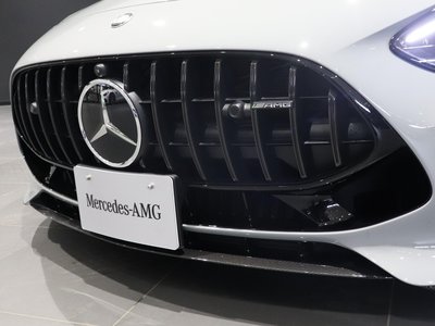 2025 Mercedes-BENZ GT AMG photo 9