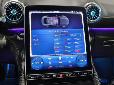 2025 Mercedes-BENZ GT AMG — миниатюра 47