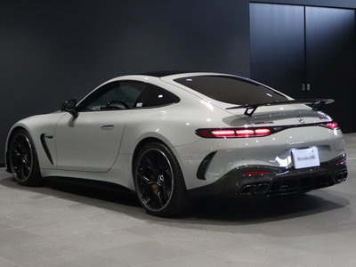 2025 Mercedes-BENZ GT AMG — миниатюра 22
