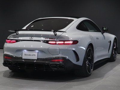 2025 Mercedes-BENZ GT AMG — миниатюра 19