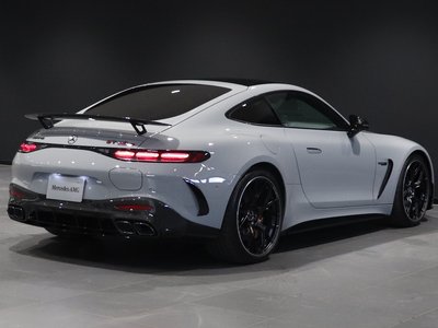 2025 Mercedes-BENZ GT AMG — миниатюра 18