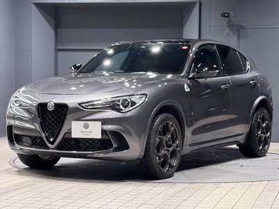 2023 ALFA Romeo STELVIO — фото 6