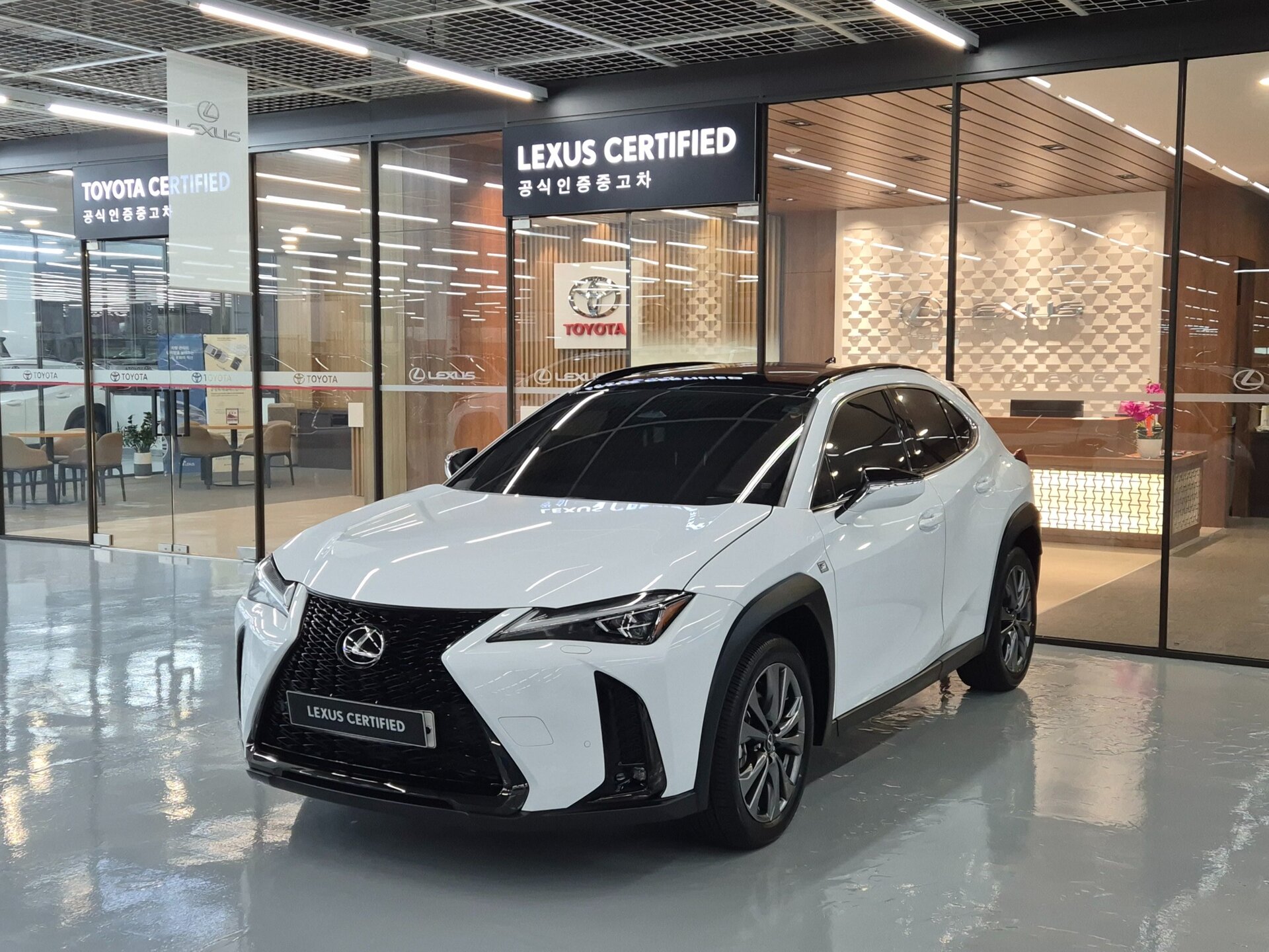 LEXUS UX - View 1