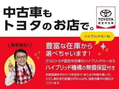 TOYOTA LAND CRUISER 250 - 2