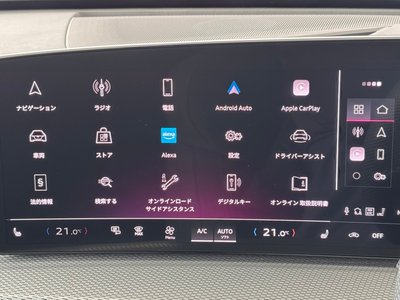 2025 AUDI Q5 SPORTBACK 缩略图 21