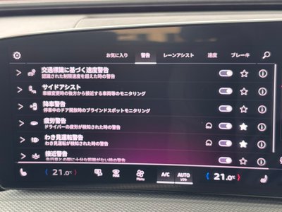 2025 AUDI Q5 SPORTBACK 缩略图 26