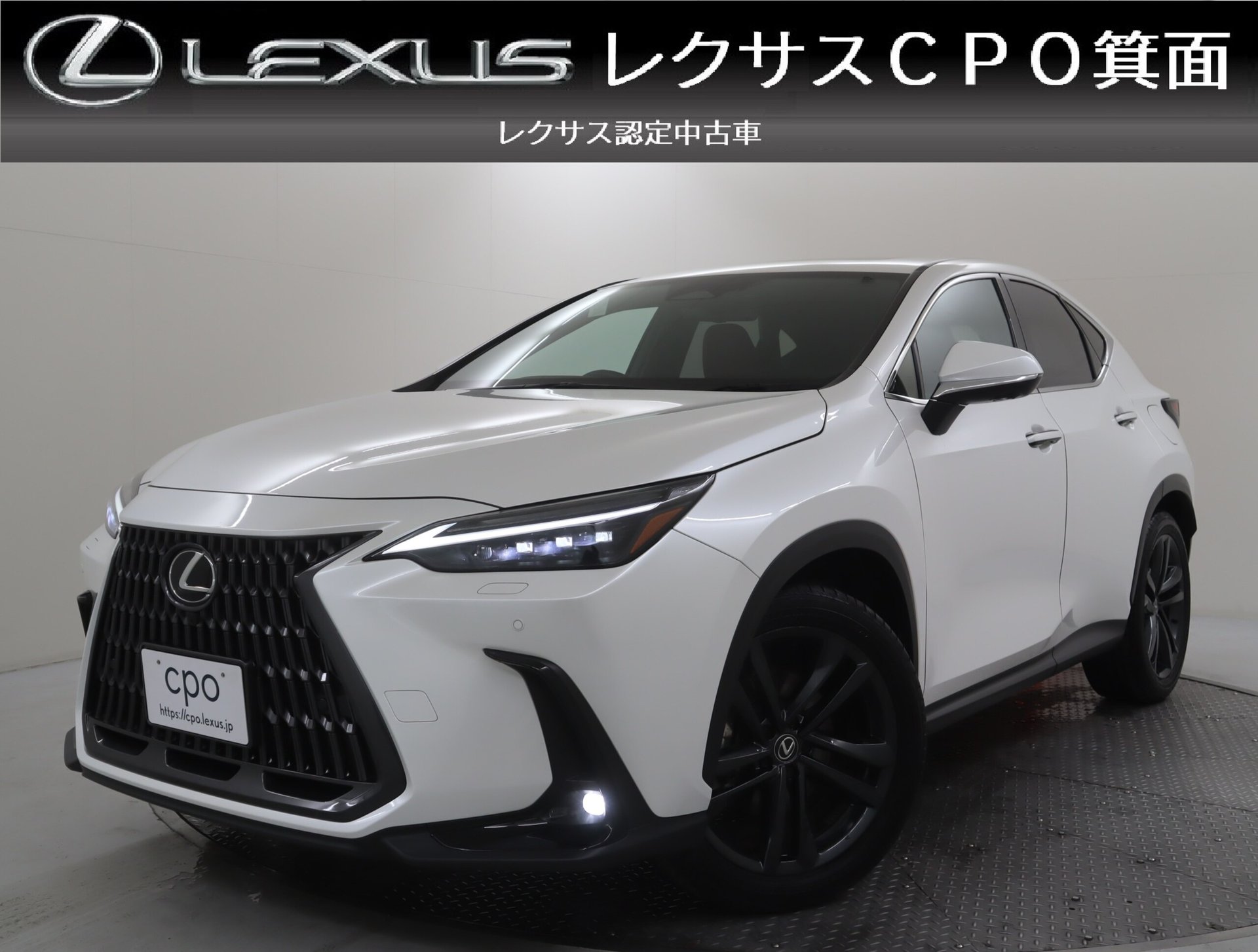 LEXUS NX - View 1