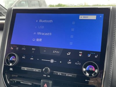 2024 Toyota ALPHARD 照片 8