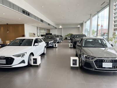2024 AUDI Q8 缩略图 41