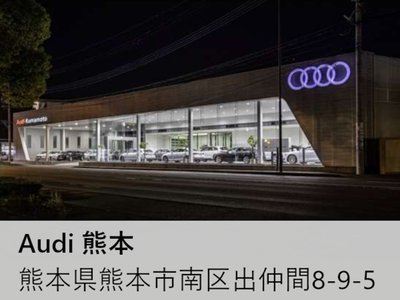 2024 AUDI Q8 缩略图 40