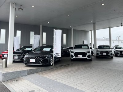 2024 AUDI Q8 缩略图 42