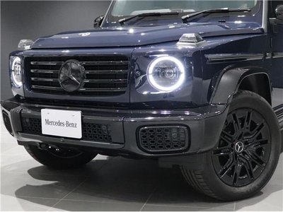 2025 Mercedes-BENZ G-CLASS — фото 8