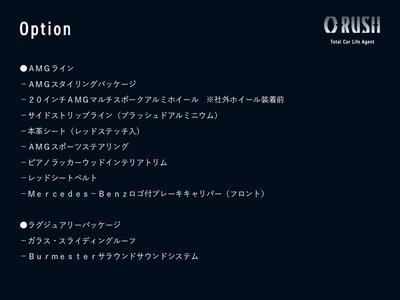 MERCEDES-BENZ G-CLASS - 2