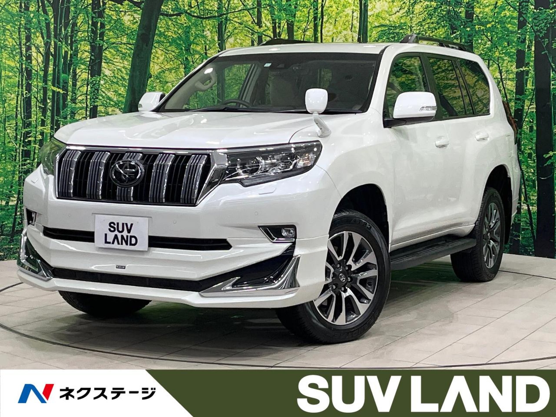 TOYOTA LAND CRUISER PRADO - View 1