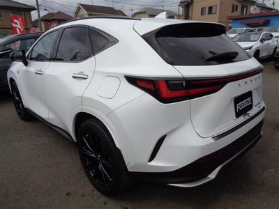 2022 Lexus NX 照片 6