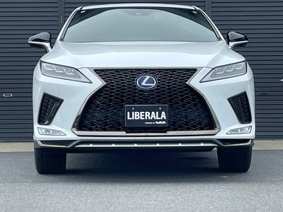 2020 Lexus RX 缩略图 52
