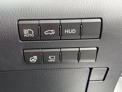 2020 Lexus RX 缩略图 43