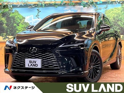 LEXUS RX - 1