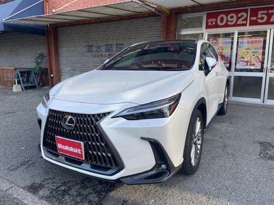 LEXUS NX - 4