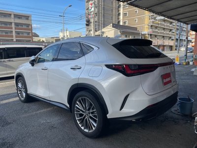 LEXUS NX - 6
