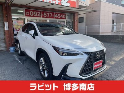 LEXUS NX - 1
