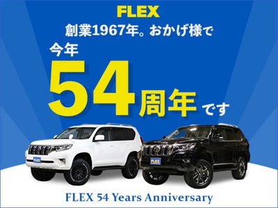 2021 Toyota LAND CRUISER PRADO 缩略图 63