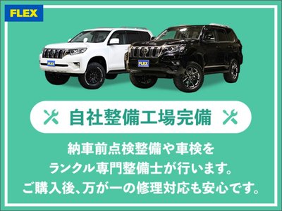 2021 Toyota LAND CRUISER PRADO 缩略图 65