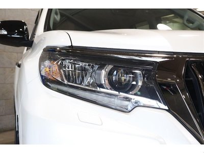 2021 Toyota LAND CRUISER PRADO 缩略图 45